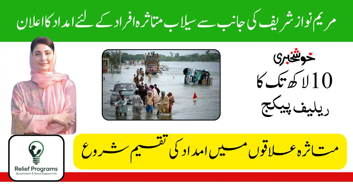 CM Punjab Flood Relief