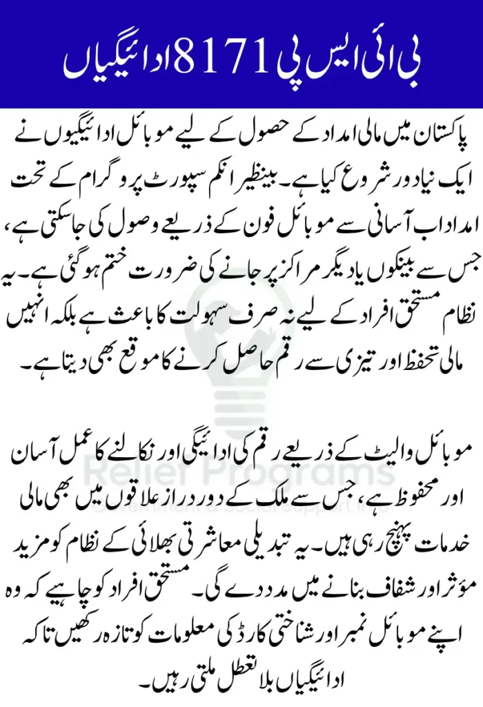 BISP 8171 Mobile Payments 2025