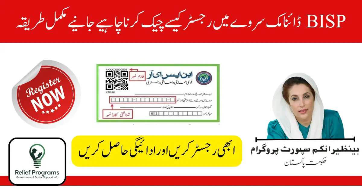 BISP Dynamic Survey 2025